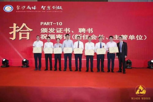 福建省信息技術(shù)咨詢服務(wù)行業(yè)協(xié)會(huì)會(huì)長(zhǎng)陳維芳向全國(guó)人民拜新年